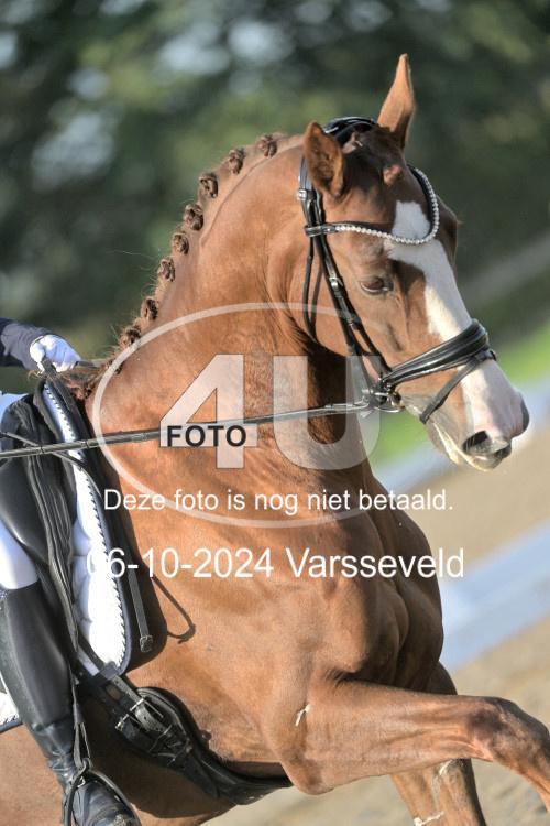 241006 0235