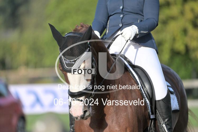 241006 0251
