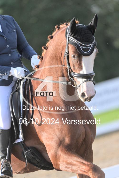 241006 0293
