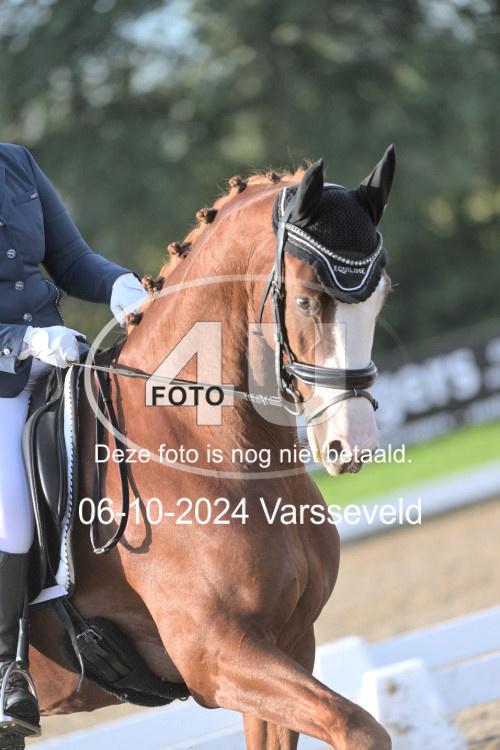 241006 0294