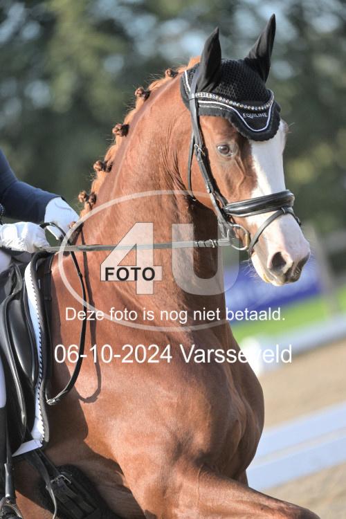 241006 0296