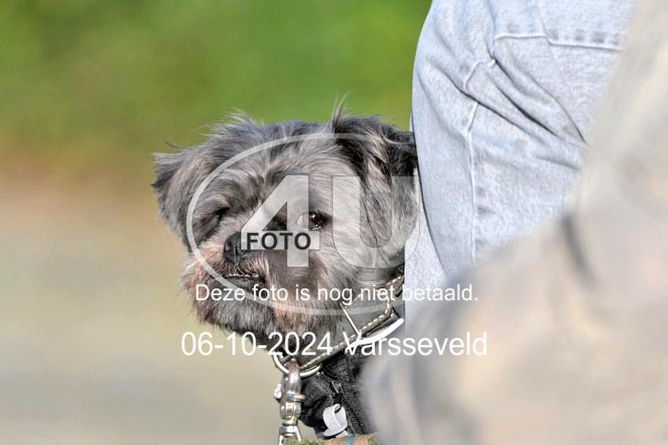 241006 0315