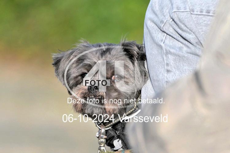 241006 0316