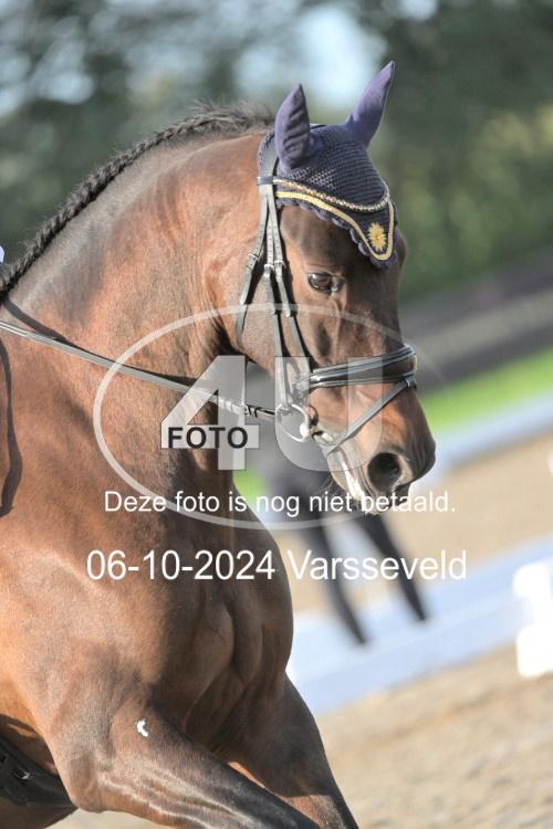 241006 0335