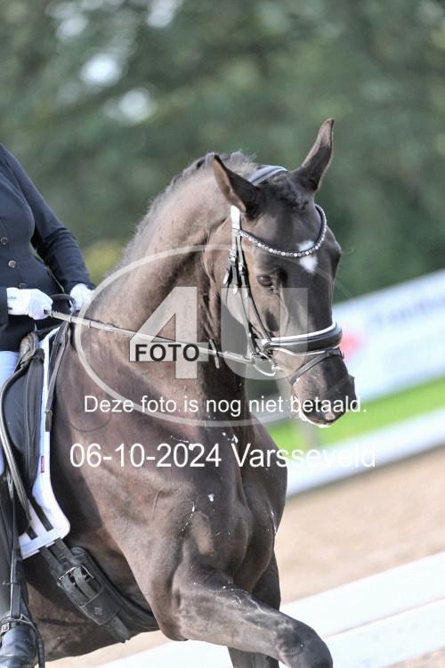 241006 0447