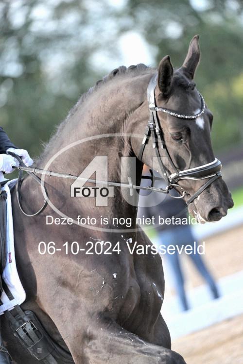 241006 0449