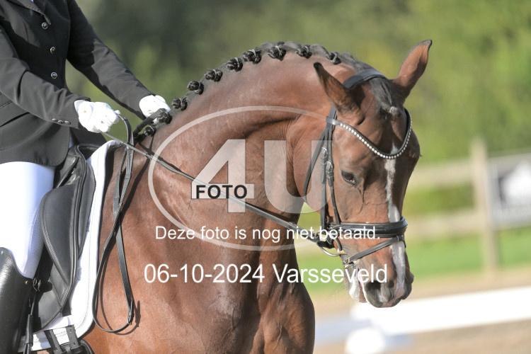 241006 0481