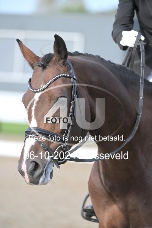 241006 0516