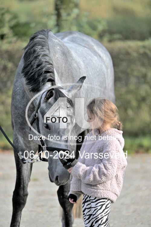 241006 0520