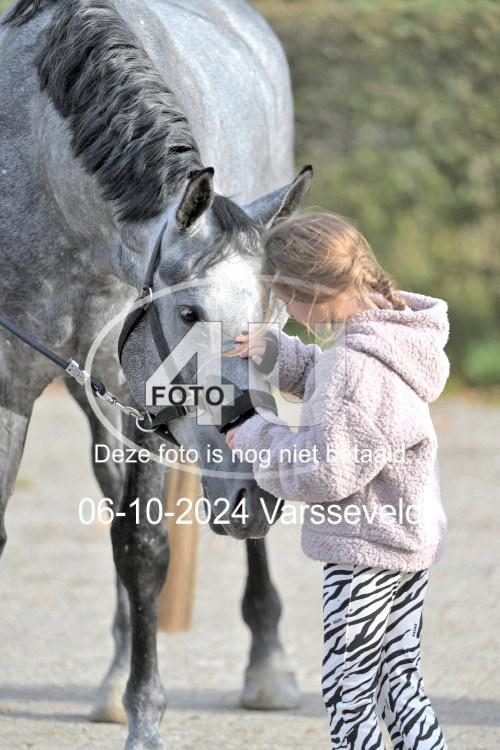 241006 0521