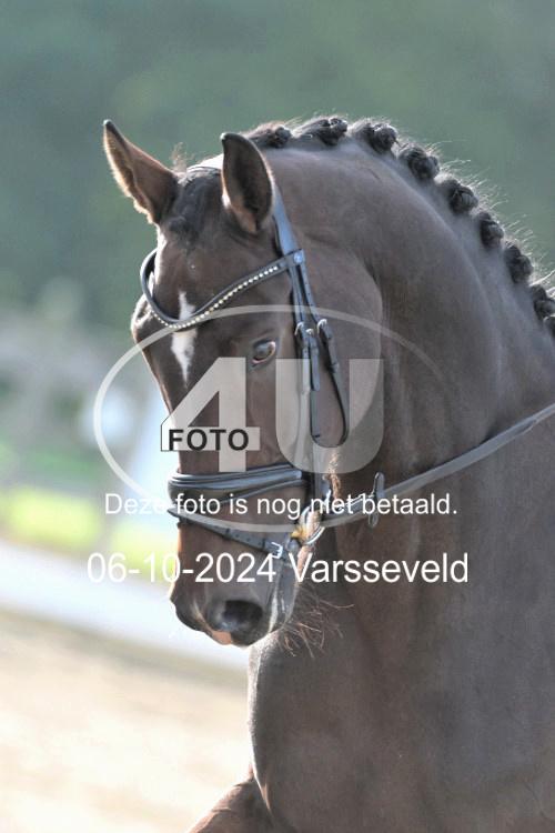 241006 0549