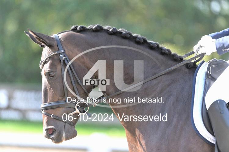 241006 0755