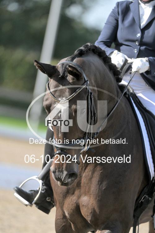 241006 0761