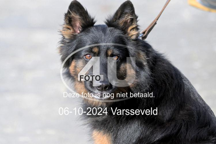 241006 0772