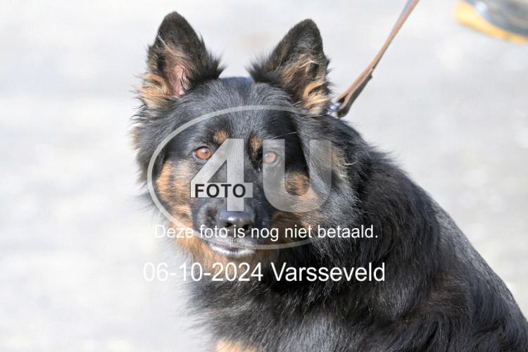 241006 0773