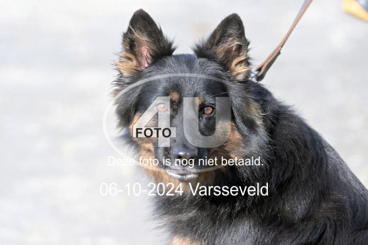 241006 0774