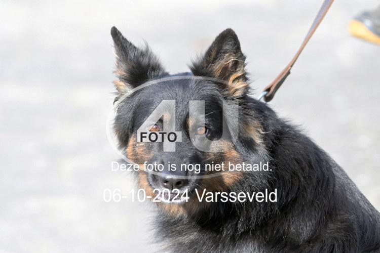 241006 0775