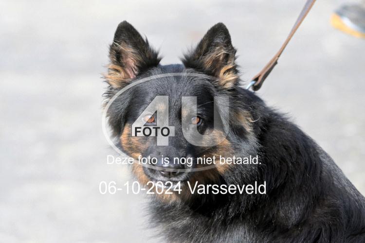 241006 0776