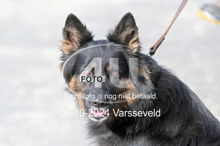 241006 0777