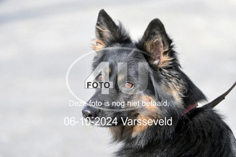 241006 0783