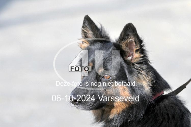 241006 0785