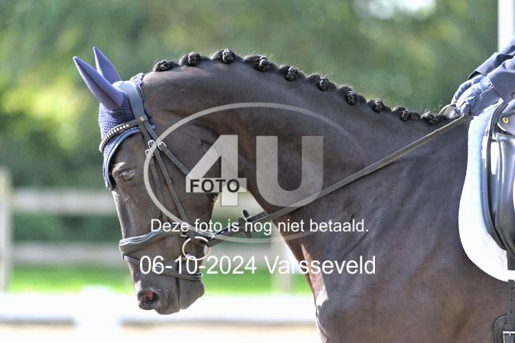 241006 0952
