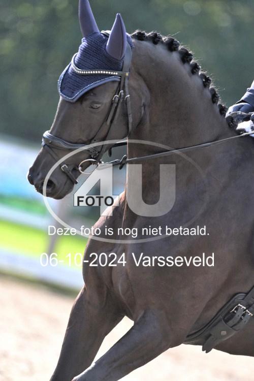 241006 0956