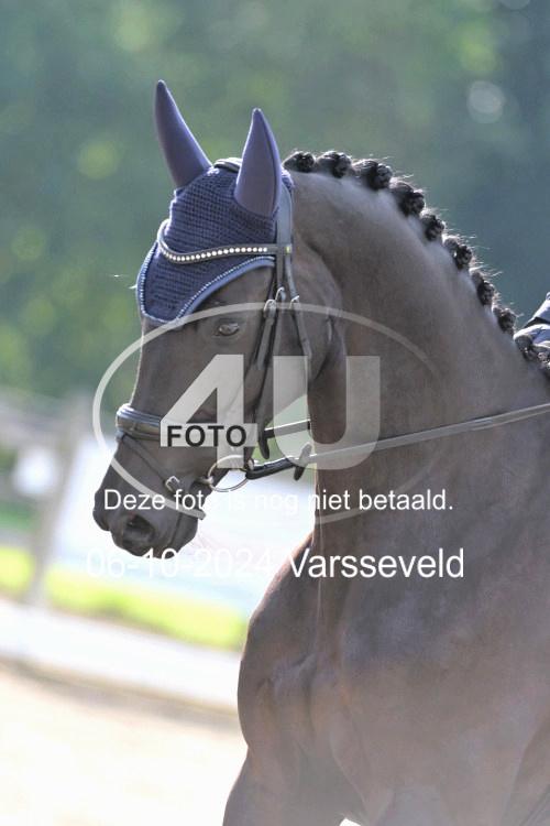 241006 0959