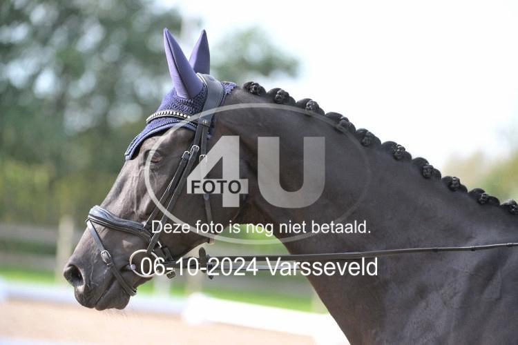 241006 0979