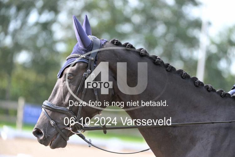 241006 0980