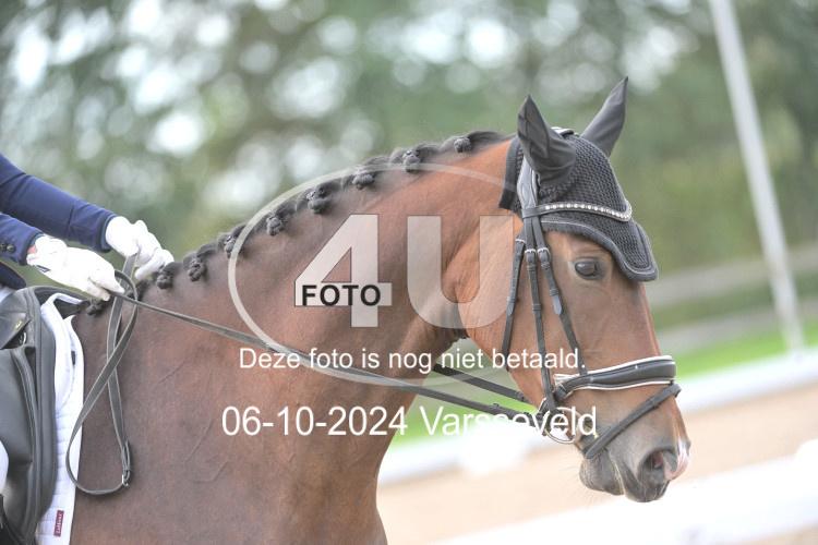 241006 1055