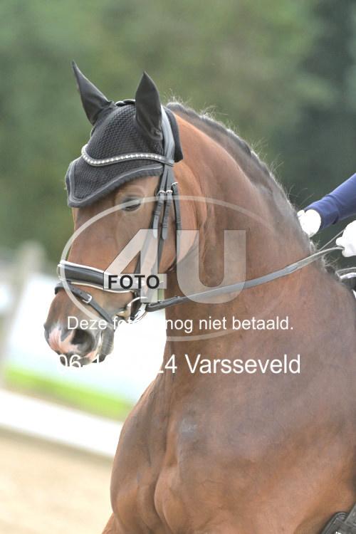 241006 1069