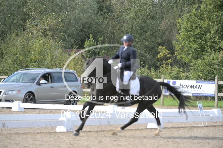 241006 1194