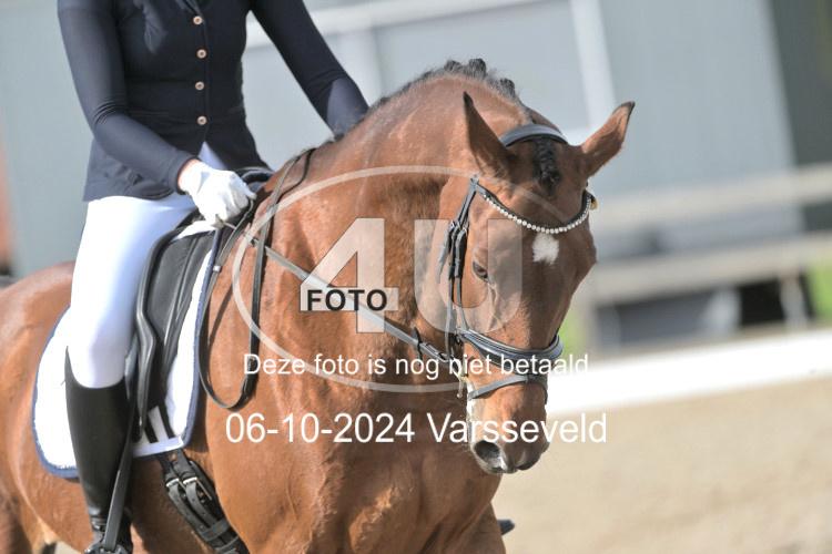 241006 1252
