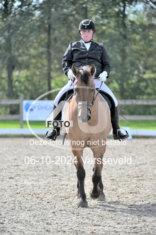 241006 1296