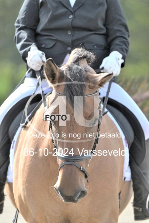 241006 1300