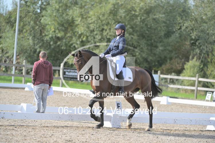 241006 1310