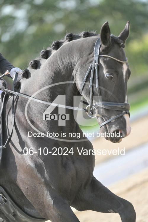 241006 1454