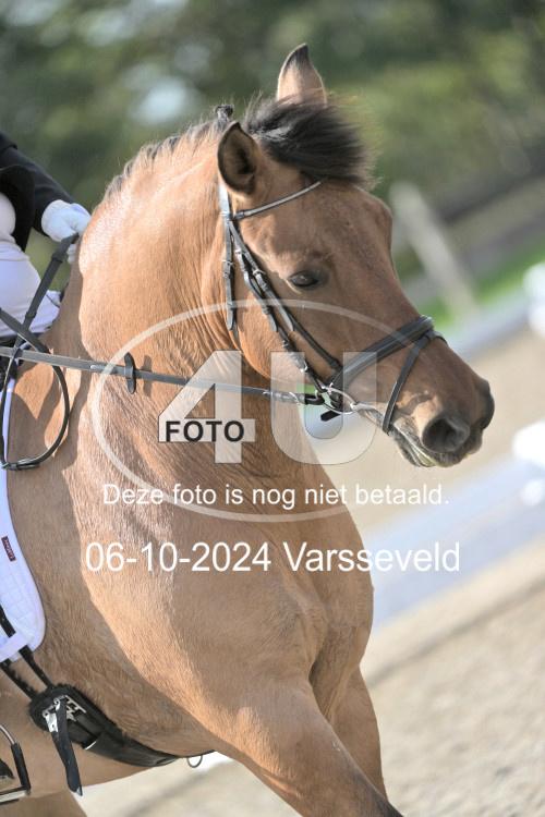241006 1523