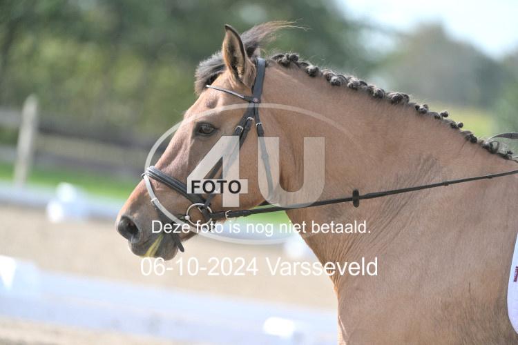 241006 1533