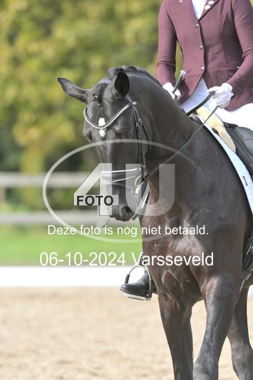 241006 1536