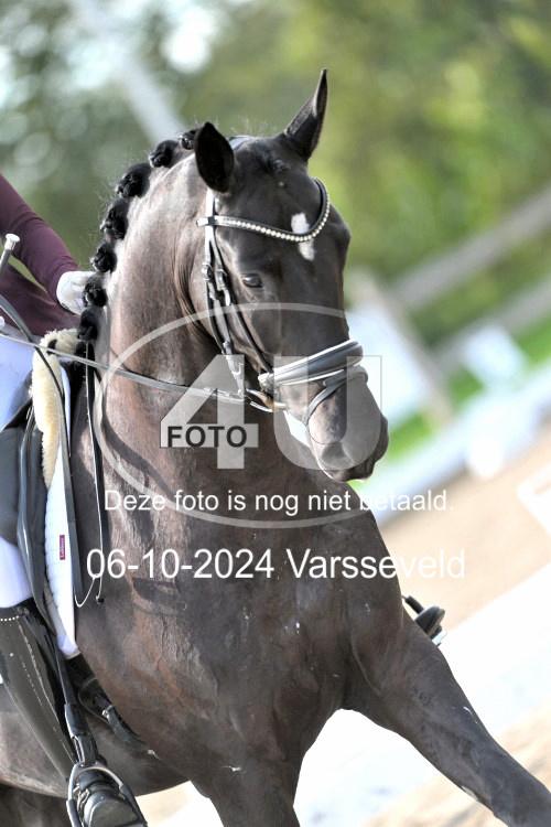 241006 1546