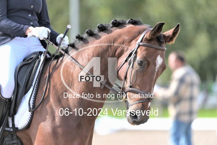 241006 1619