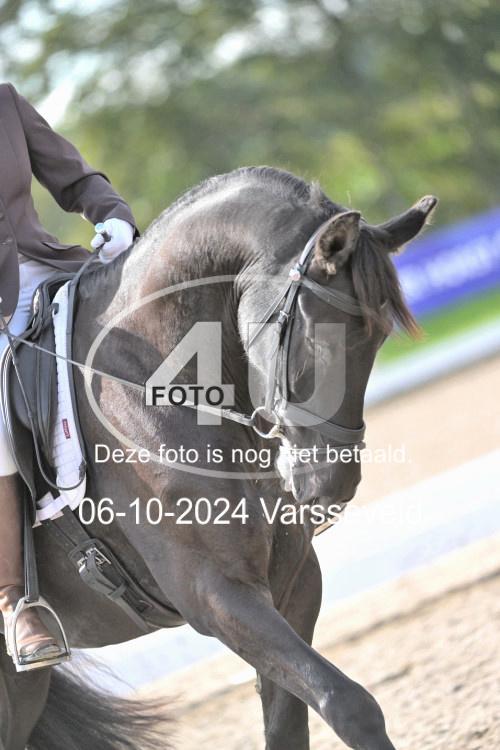 241006 1743