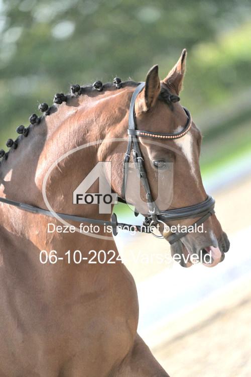 241006 1791