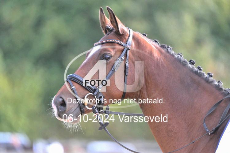 241006 1819