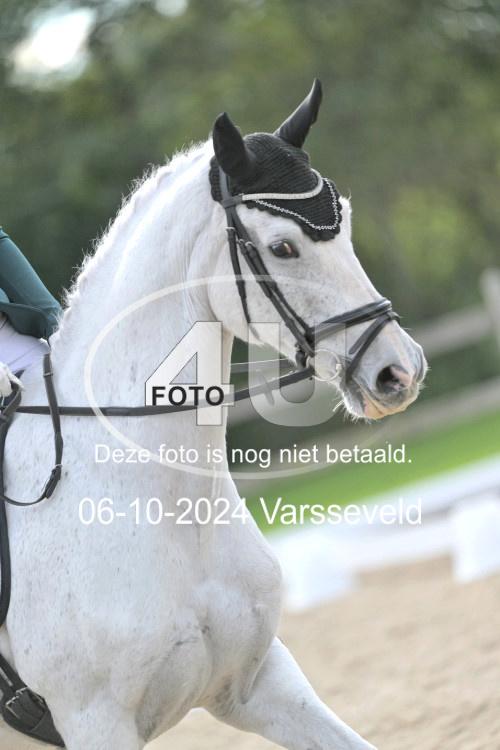 241006 1915