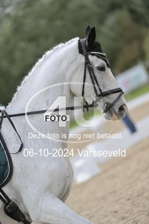 241006 2093