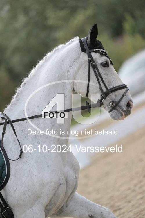 241006 2094