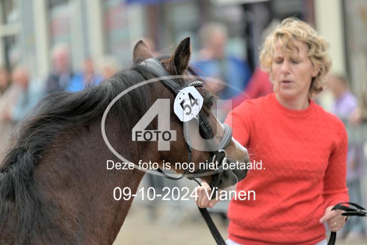 241009 0574